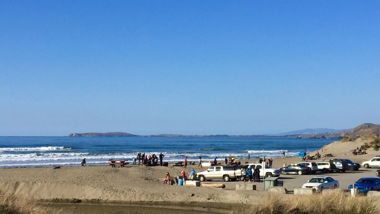 Photo of Others in Dillon Beach