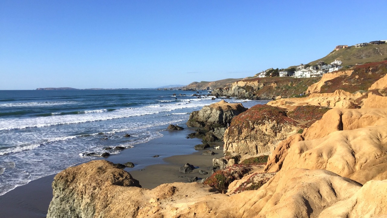 Photo of Others in Dillon Beach