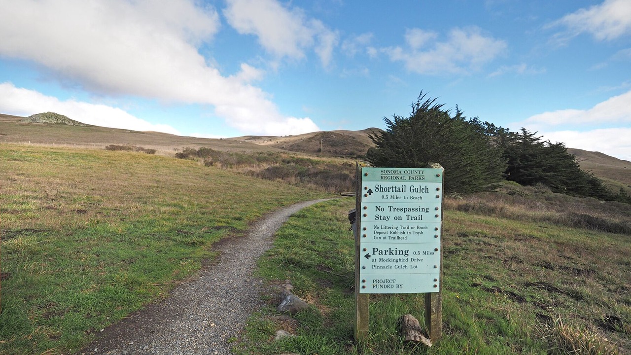 Photo of Others in Bodega Bay