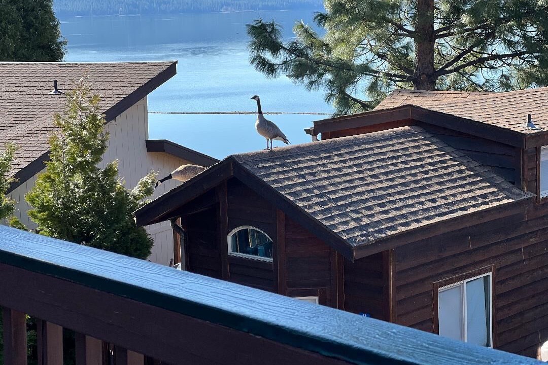 Photo of Outdoor in Peninsula Village
