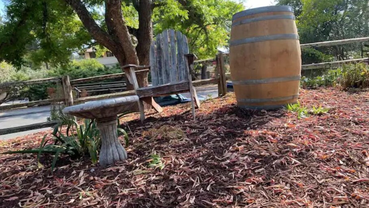 Photo of Outdoor in Santa Rosa