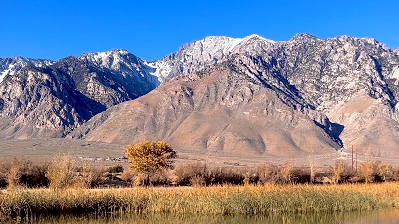 Photo of Others in Olancha
