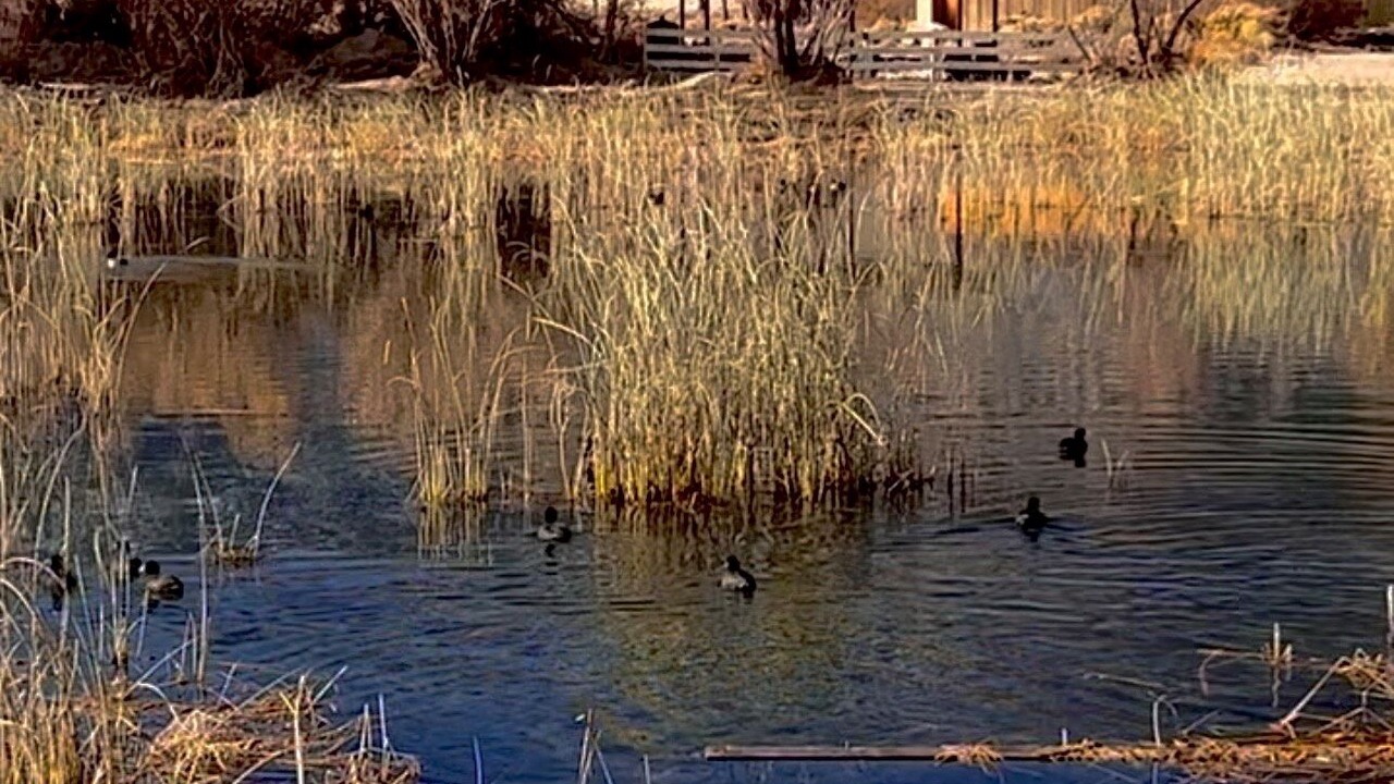 Photo of Others in Olancha