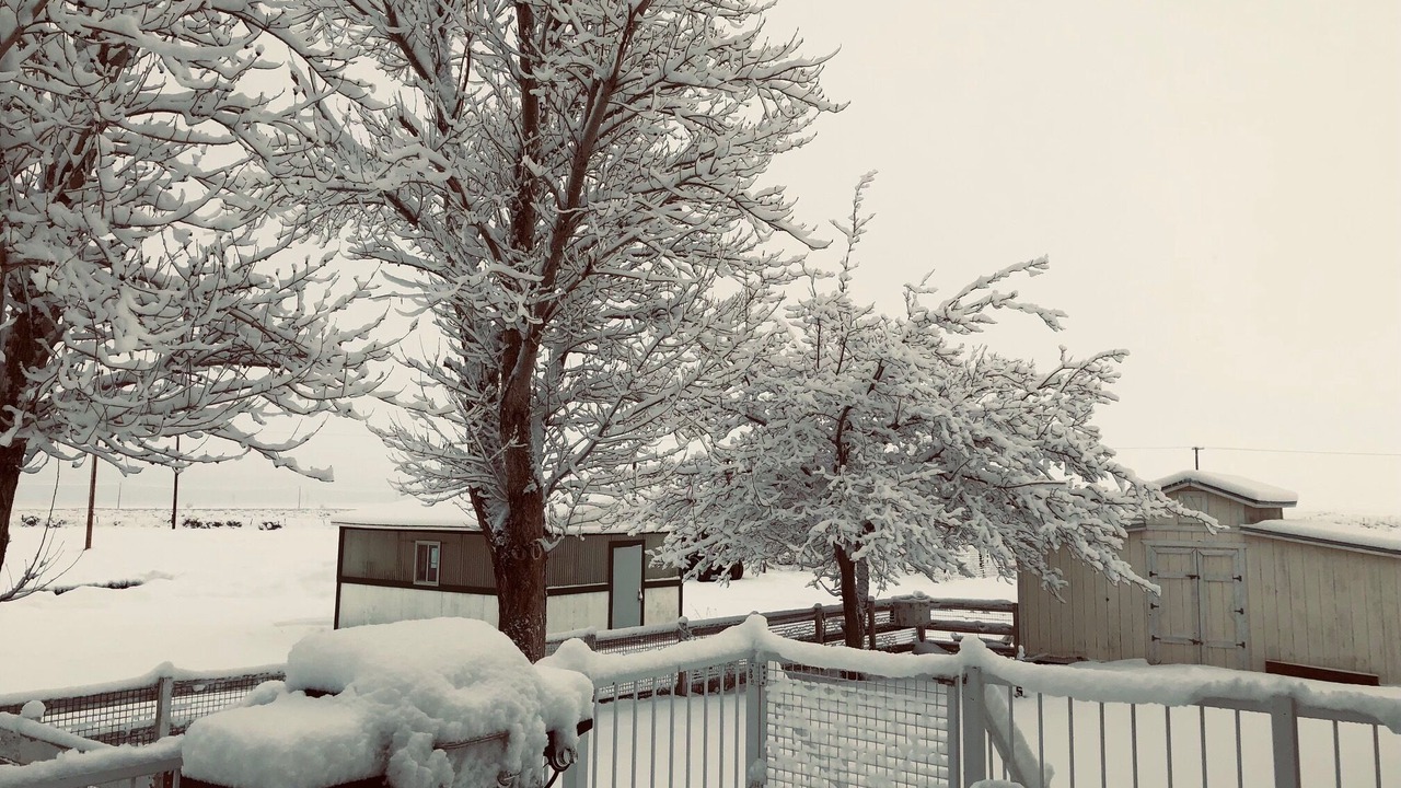 Photo of Outdoor in Olancha