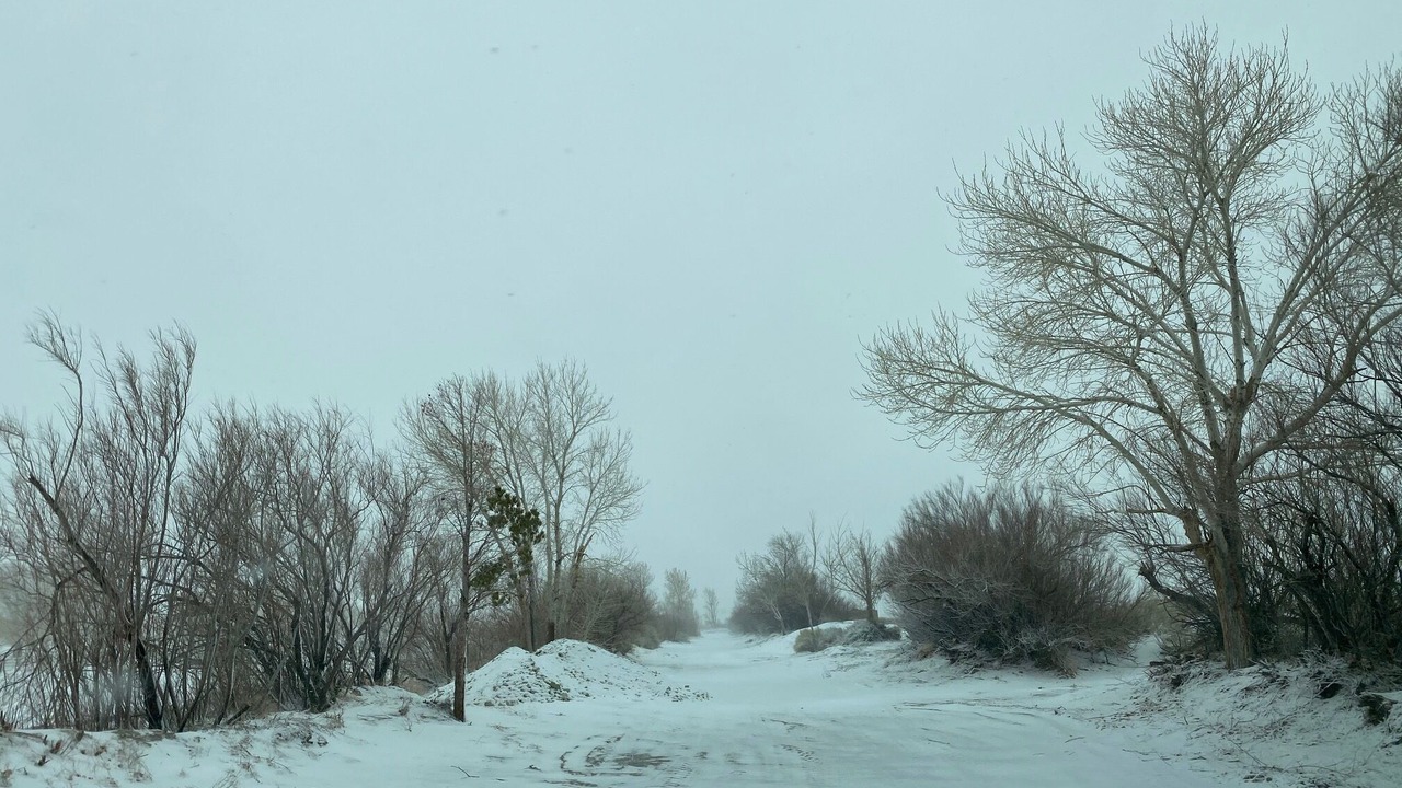 Photo of Others in Olancha