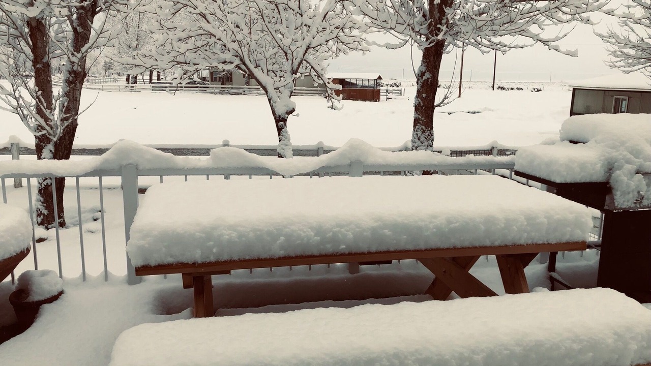 Photo of Outdoor in Olancha