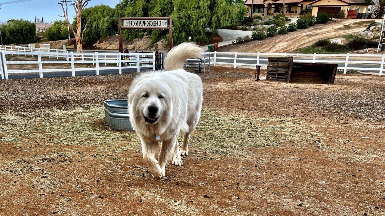 Photo of Others in Temecula