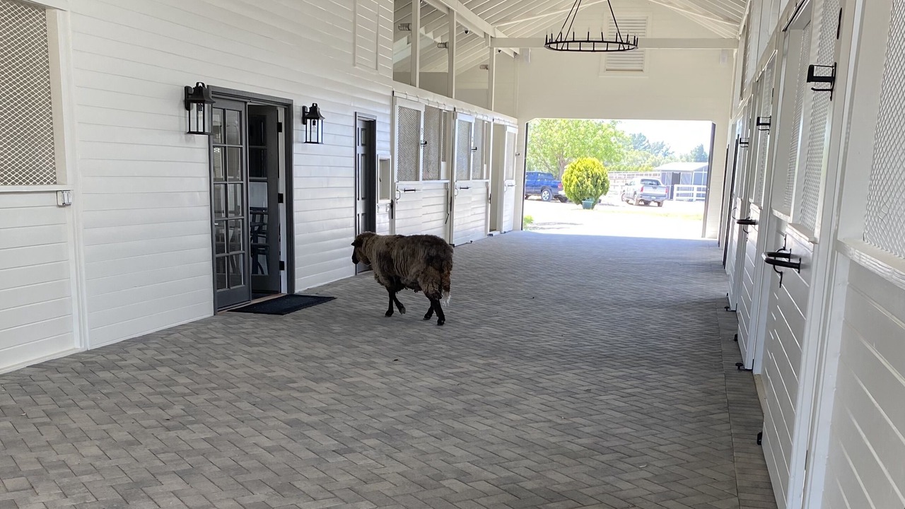Photo of Others in Santa Ynez