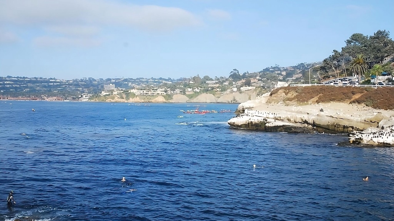 Photo of Others in Village of La Jolla