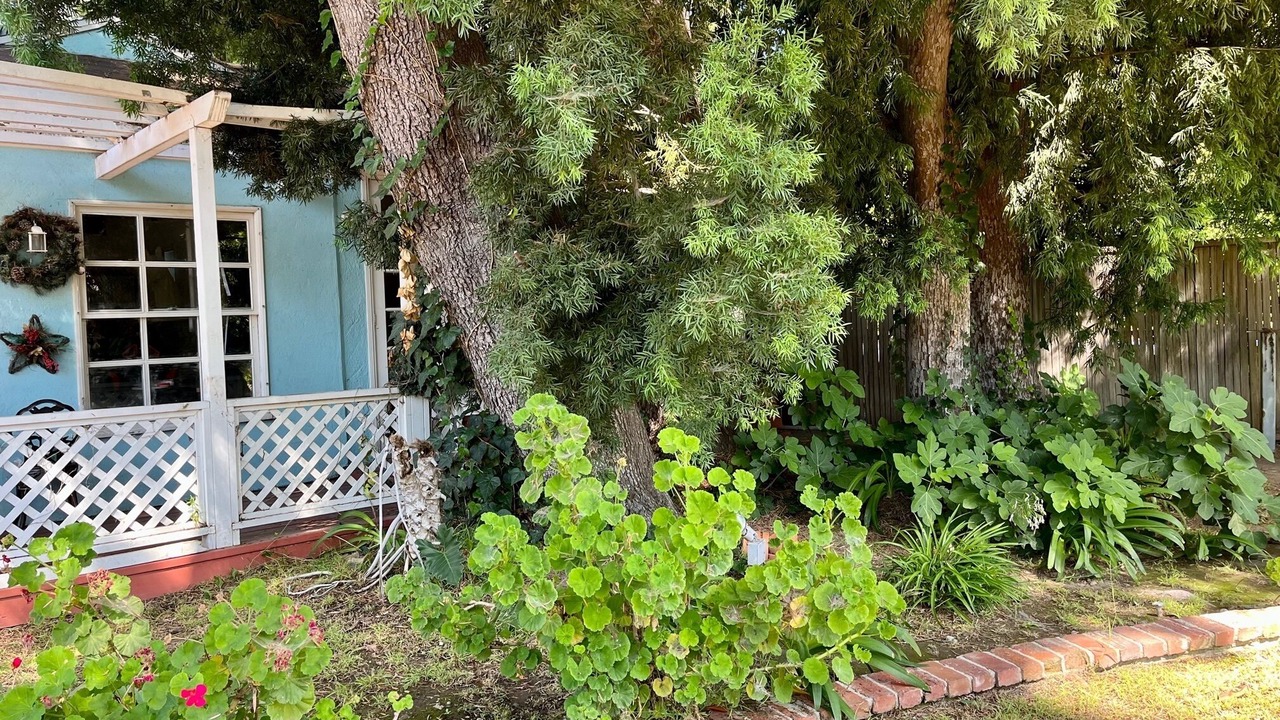 Photo of Outdoor in The Flats