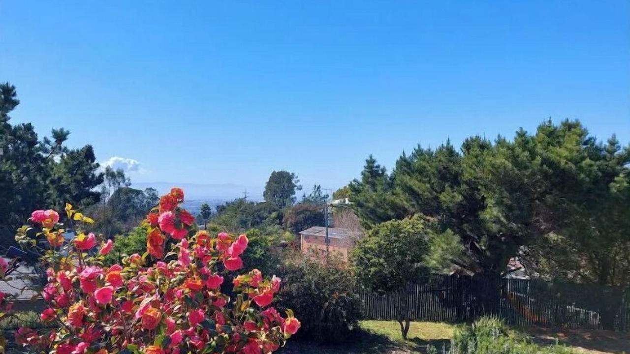 Photo of Outdoor in Castro Valley