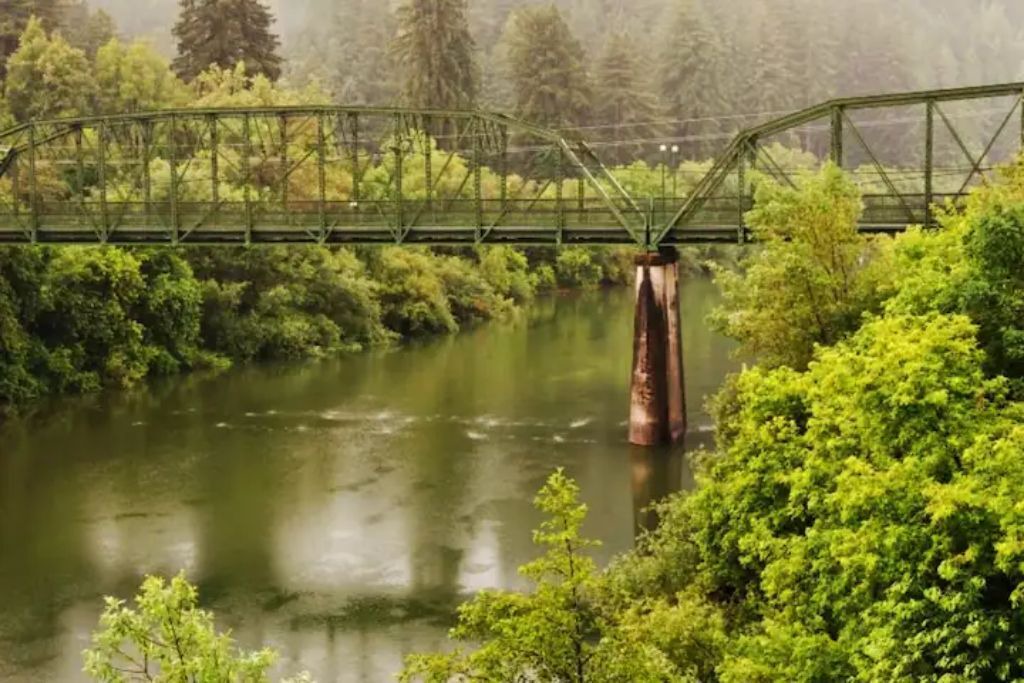 Photo of Outdoor in Guerneville
