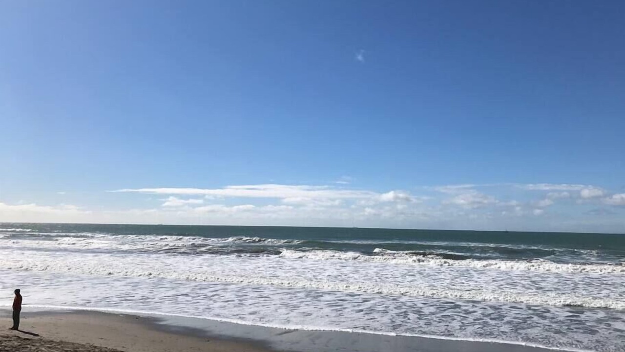 Photo of Others in Stinson Beach