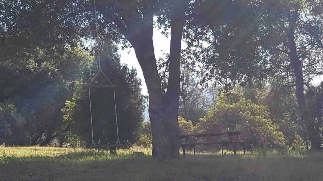 Photo of Outdoor in North Fork