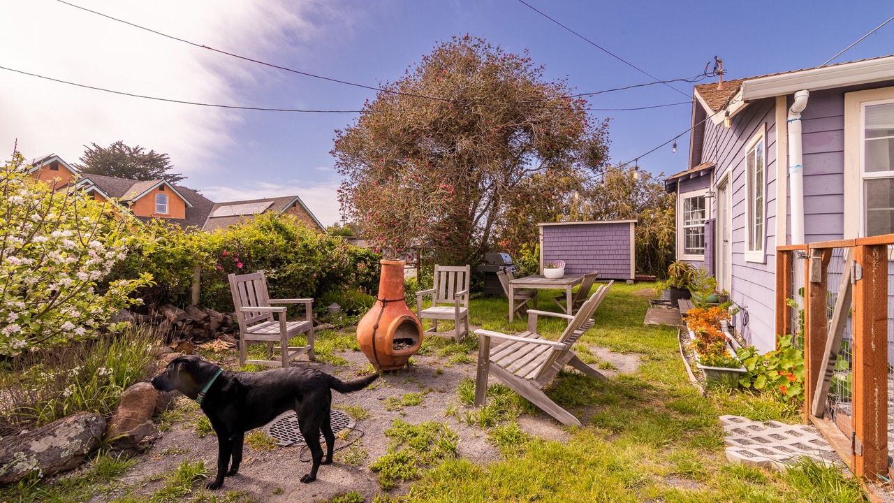 Photo of Outdoor in Half Moon Bay