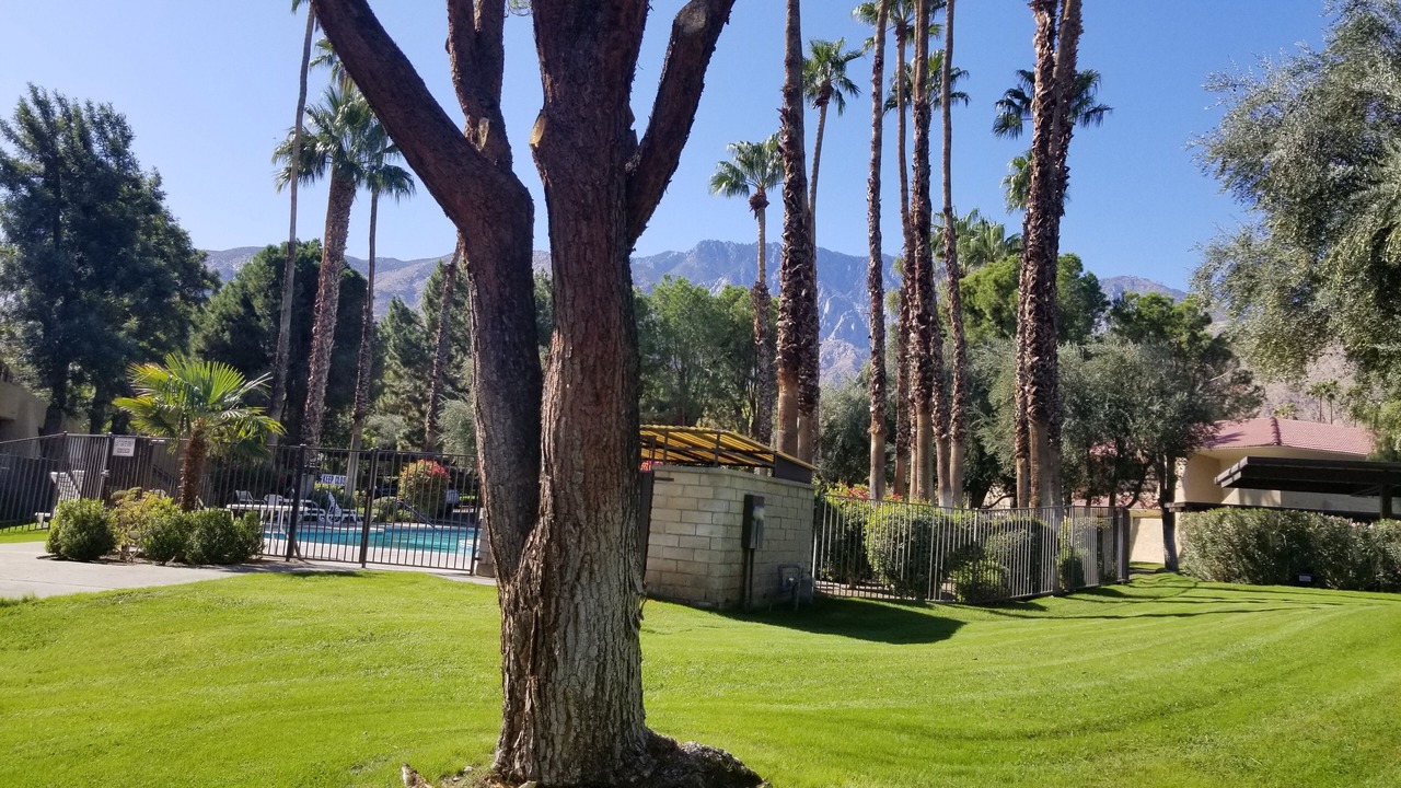 Photo of Outdoor in Palm Springs
