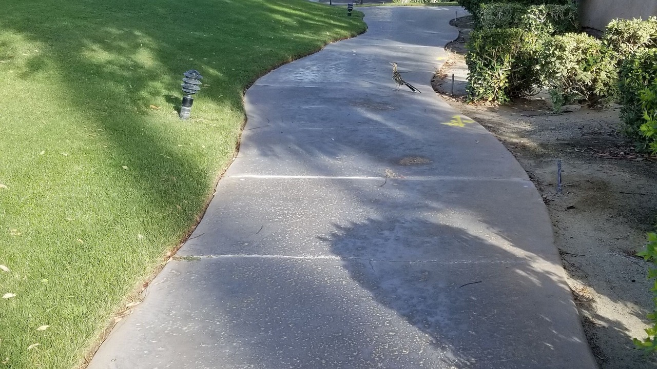 Photo of Outdoor in Palm Springs