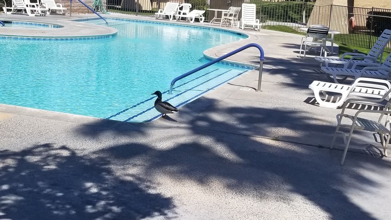 Photo of Outdoor in Palm Springs