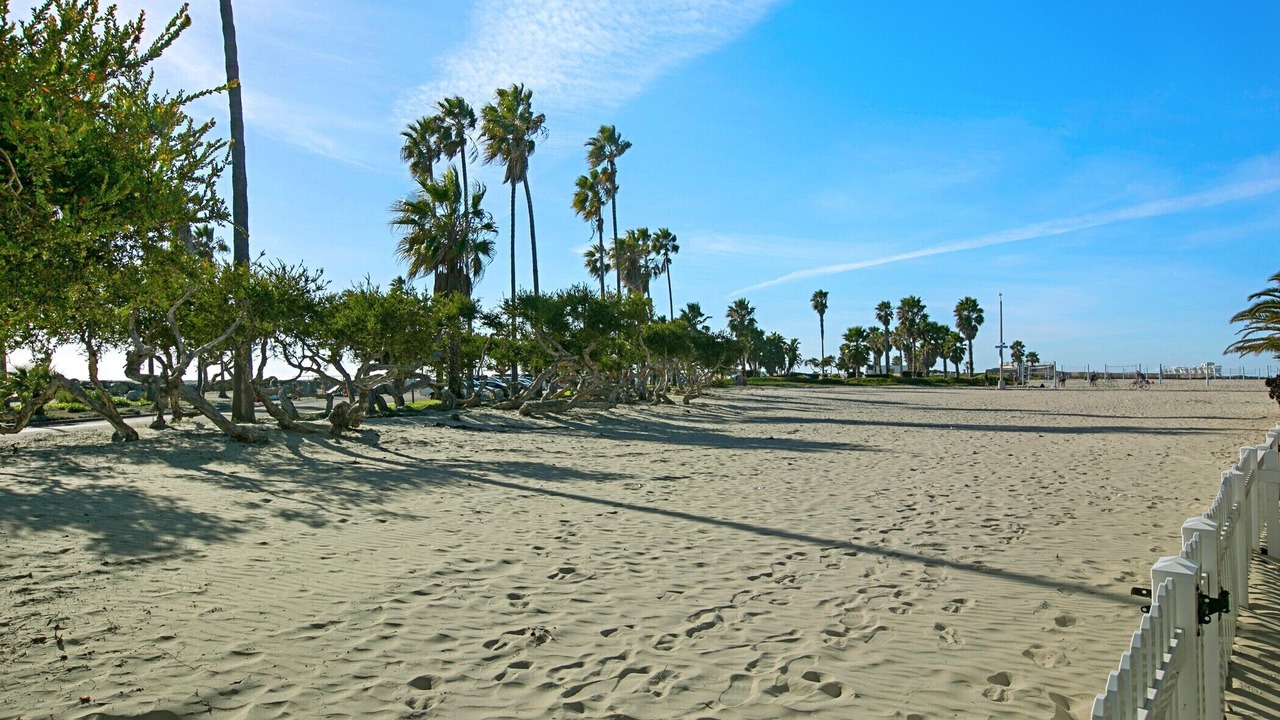 Photo of Others in South Mission Beach