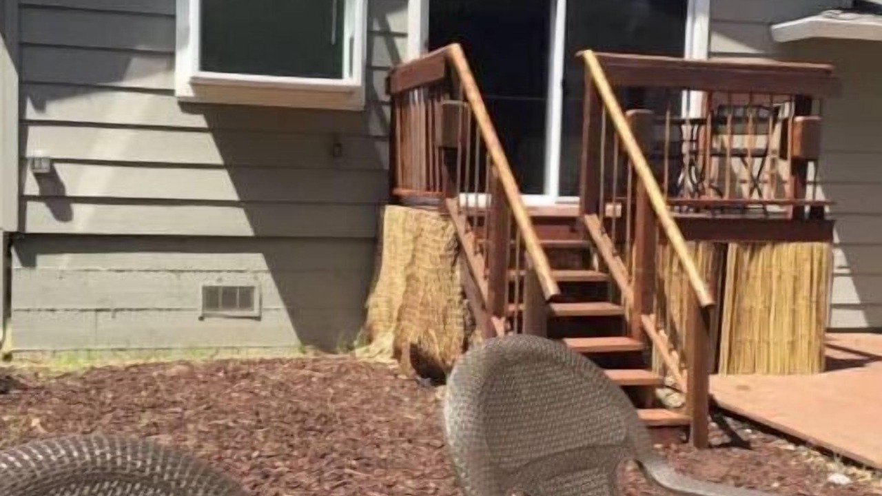 Photo of Patio Balcony in Martinez