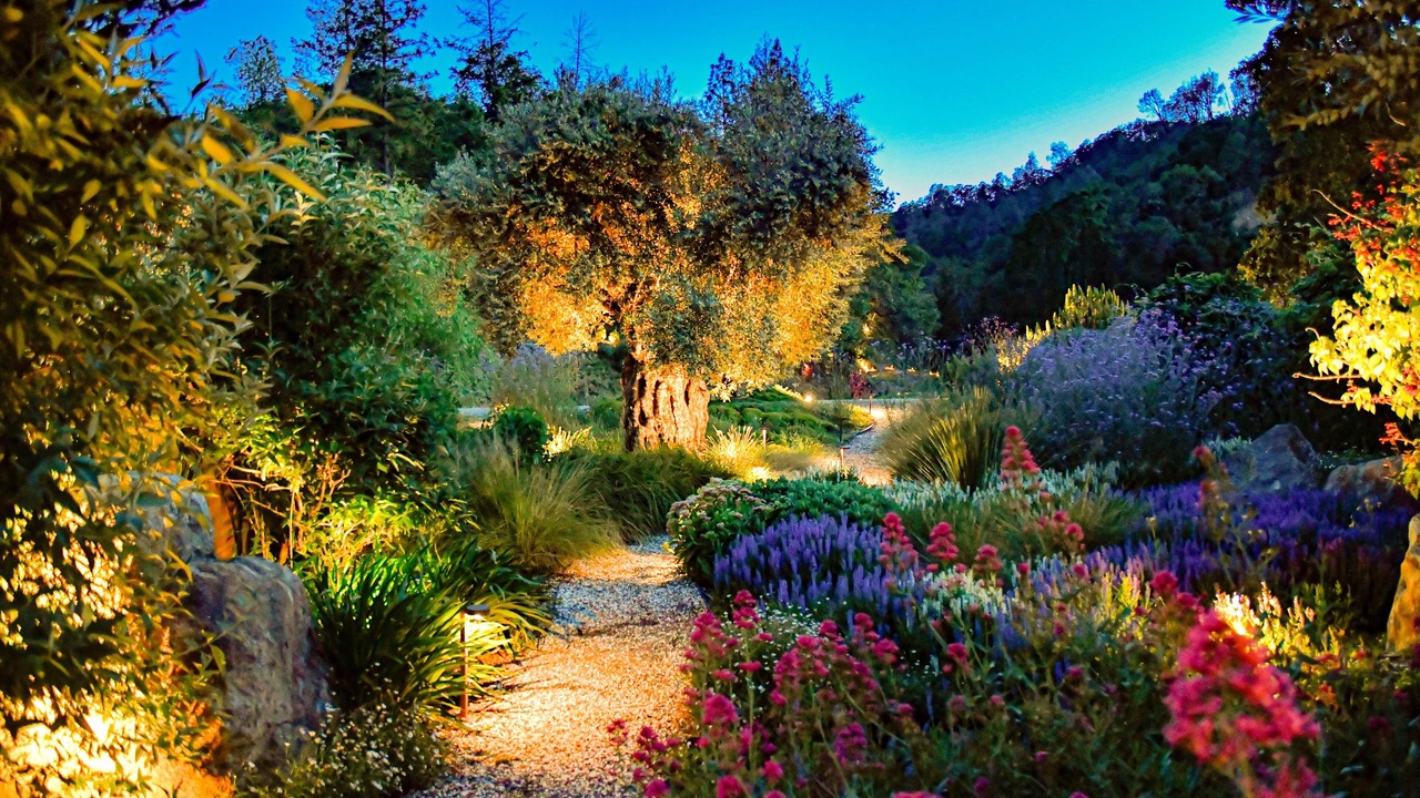 Photo of Outdoor in Pope Valley