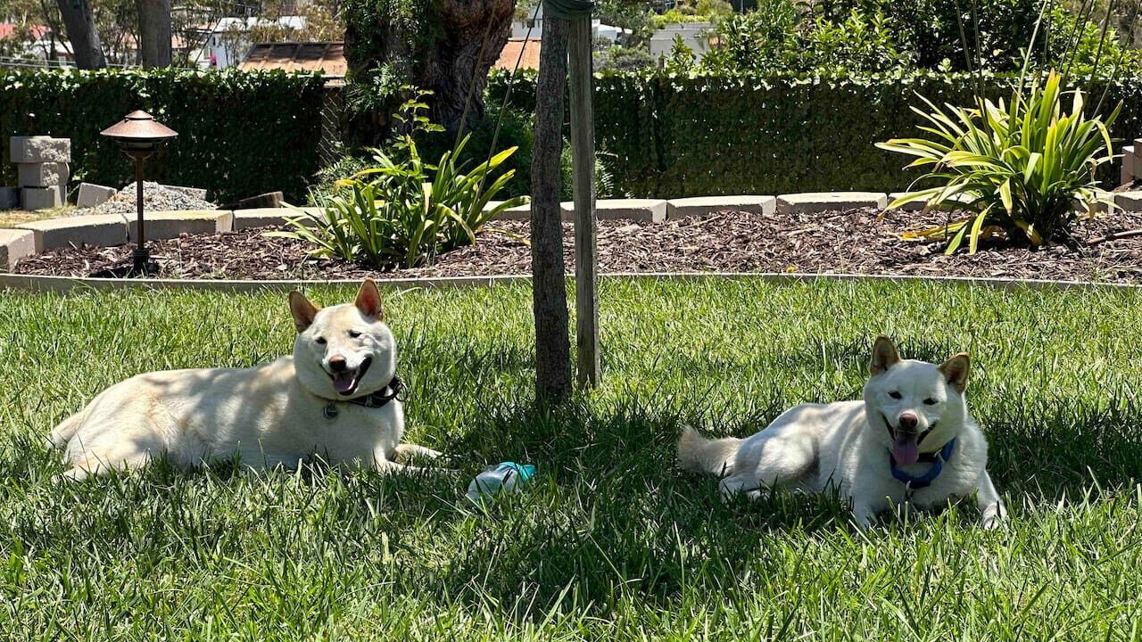 Photo of Outdoor in South Park
