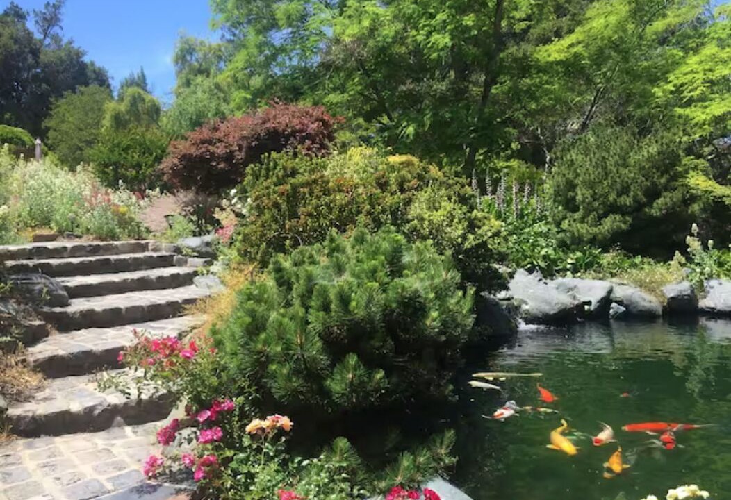 Photo of Outdoor in Los Altos Hills