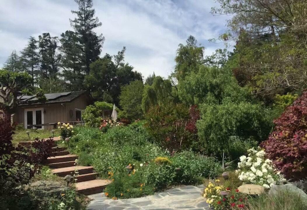 Photo of Outdoor in Los Altos Hills