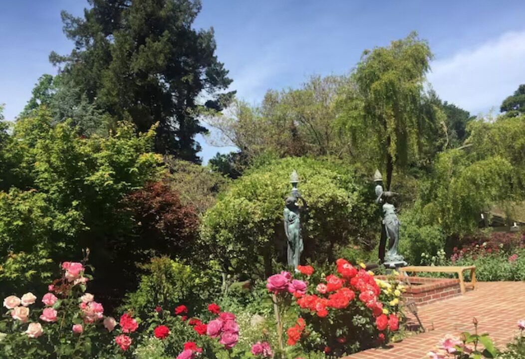 Photo of Outdoor in Los Altos Hills