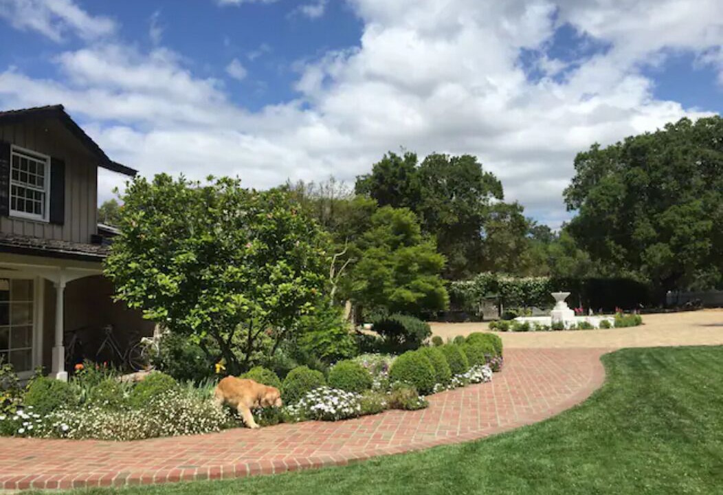 Photo of Outdoor in Los Altos Hills