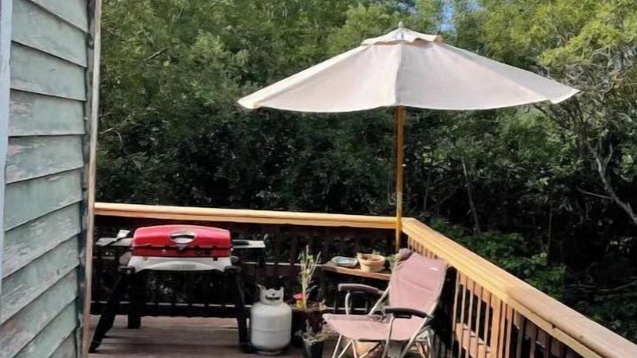 Photo of Outdoor in Rohnerville