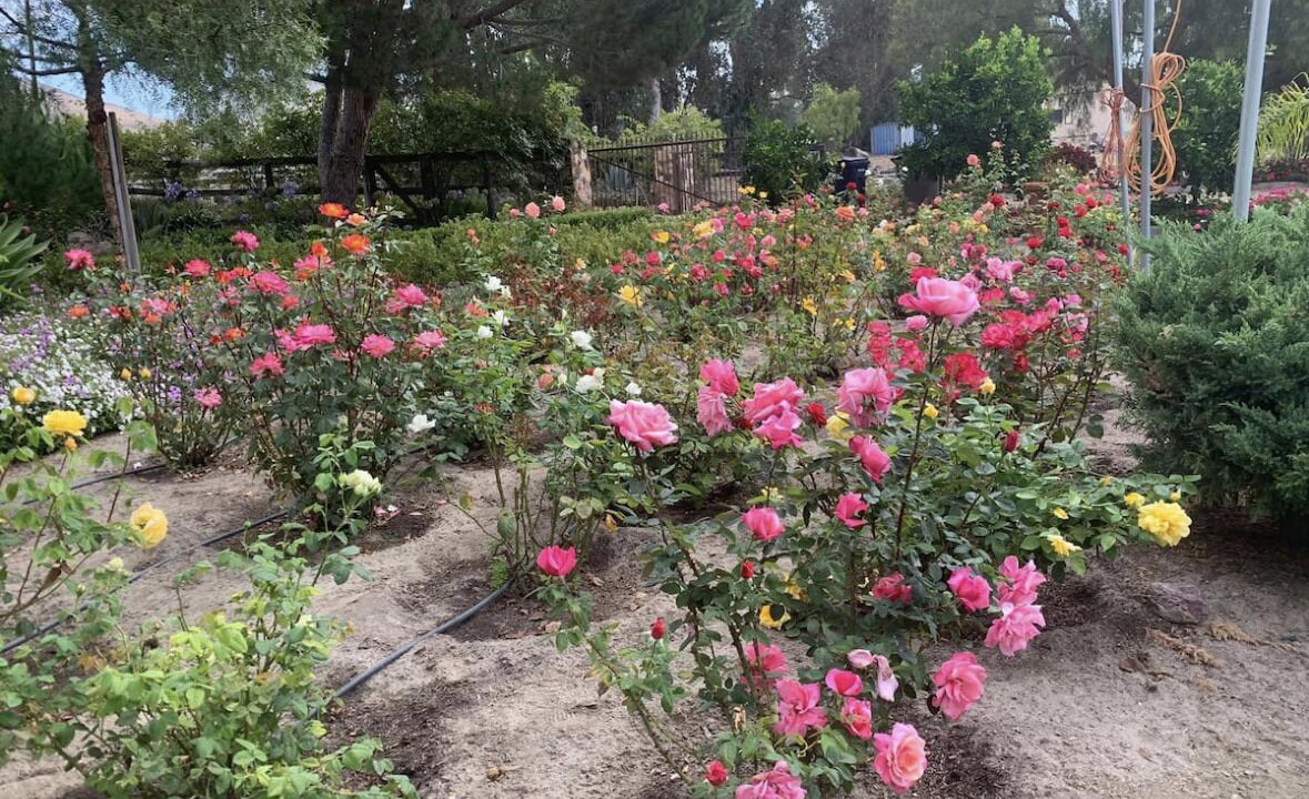 Photo of Outdoor in Lompoc