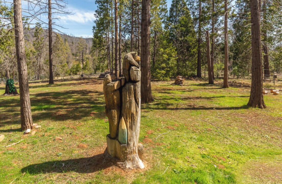 Photo of Outdoor in Mariposa