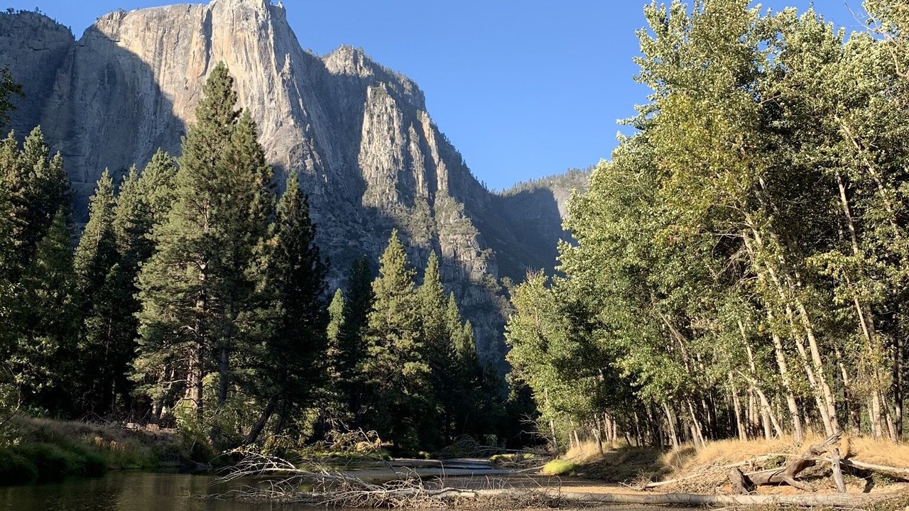 Photo of Others in Mariposa