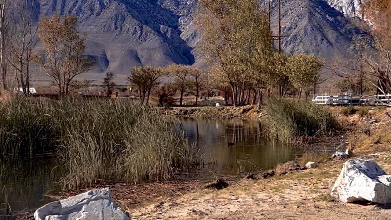 Photo of Outdoor in Olancha