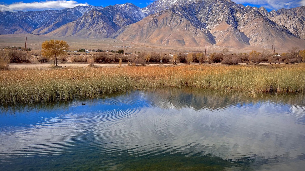 Photo of Outdoor in Olancha
