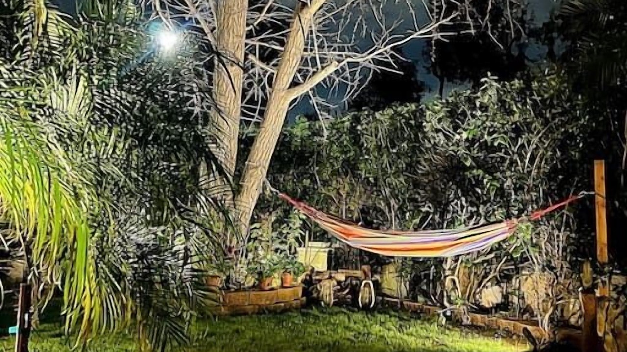 Photo of Outdoor in Woodland Hills