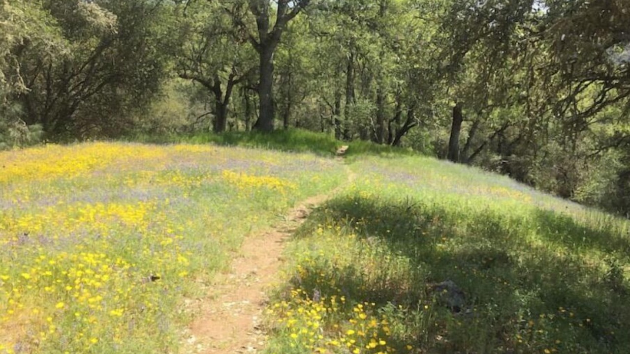 Photo of Outdoor in Placerville