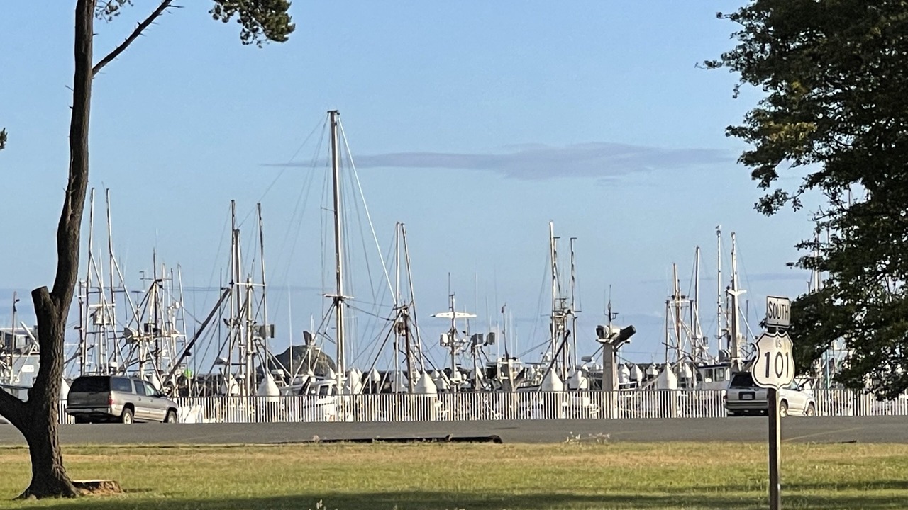 Photo of Others in Crescent City
