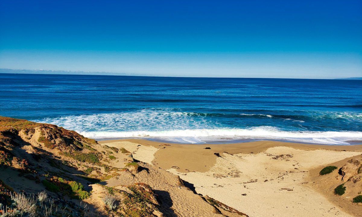 Photo of Others in Seaside