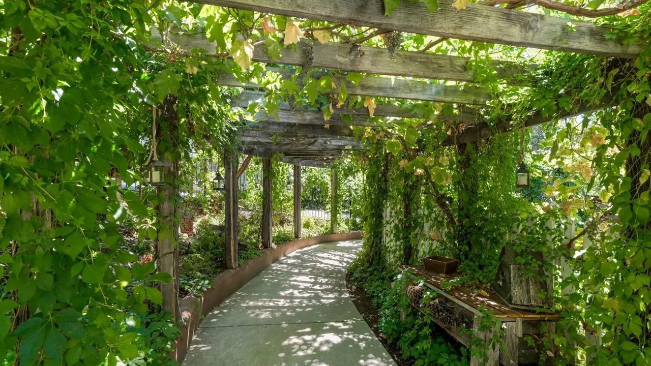 Photo of Outdoor in Foresthill