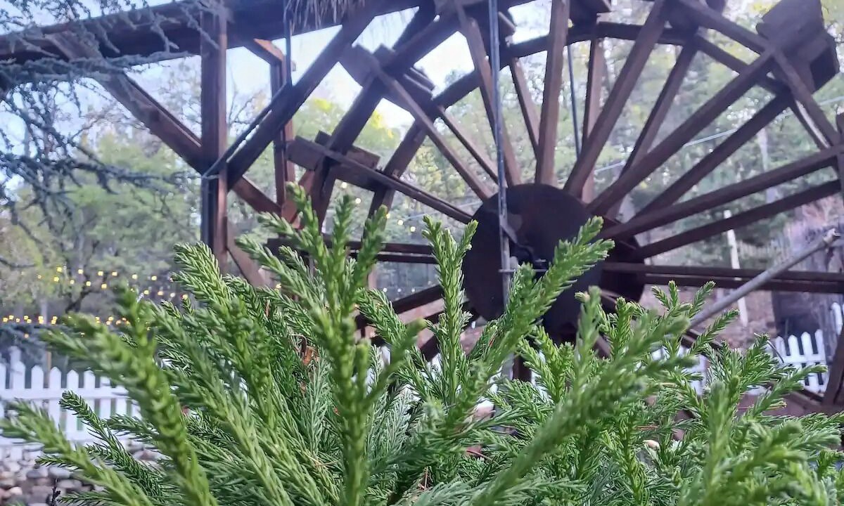 Photo of Outdoor in Foresthill