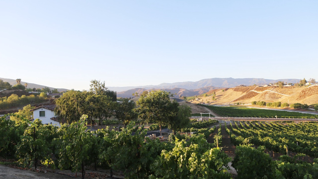 Photo of Outdoor in Temecula