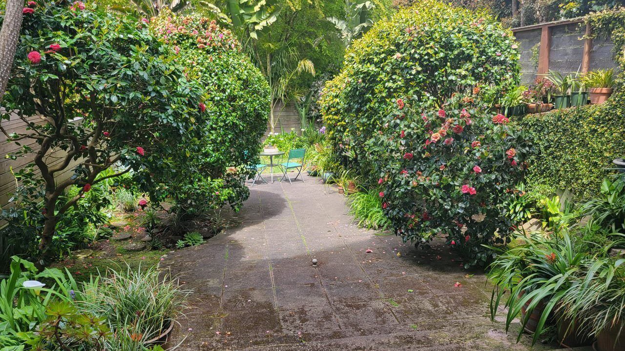 Photo of Outdoor in Presidio Heights