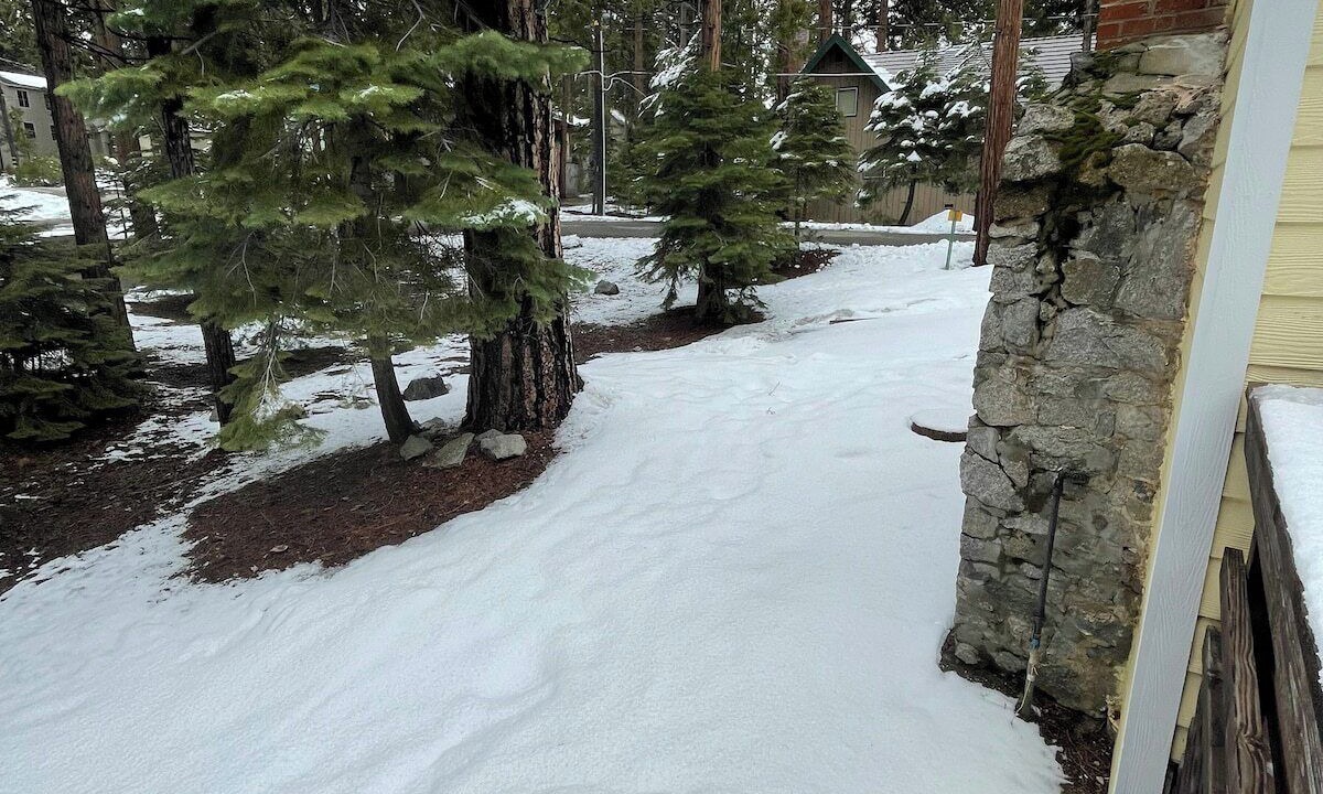 Photo of Others in Shaver Lake