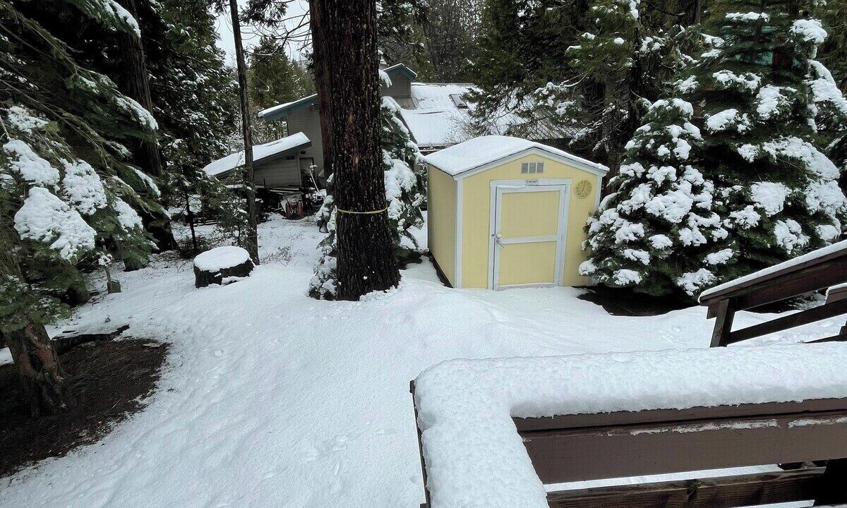Photo of Others in Shaver Lake