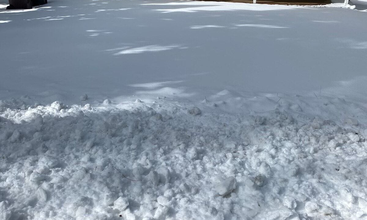 Photo of Others in Shaver Lake