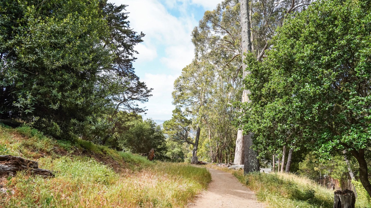 Photo of Others in Piedmont Pines