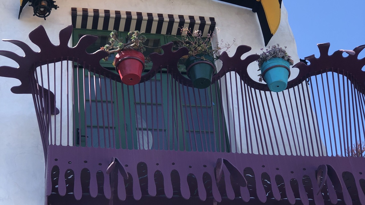 Photo of Outdoor in Laguna