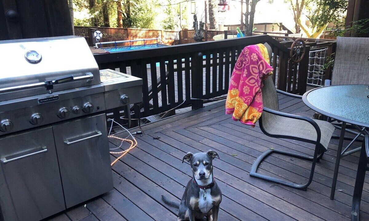 Photo of Others in Guerneville